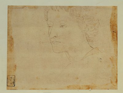 Ritratto di ragazzo con capelli ricci, di tre quarti verso sinistra ... da Lorenzo di Credi
