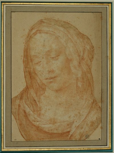 Ritratto di donna con velo ... da Lorenzo di Credi