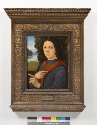 Ritratto di un giovane uomo da Lorenzo di Credi