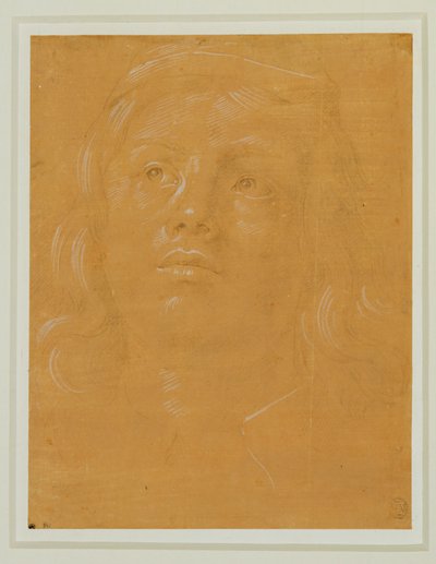 Ritratto di giovane uomo, a figura intera, con lo sguardo rivolto verso l