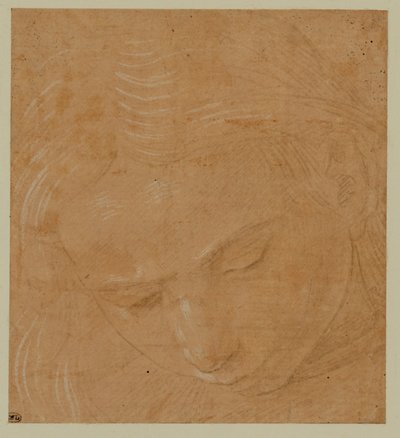 Ritratto di un giovane uomo, con lo sguardo rivolto verso il basso ... da Lorenzo di Credi