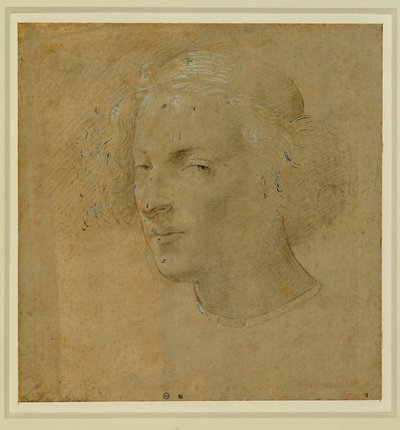 Ritratto di giovane uomo con zucchetto ... da Lorenzo di Credi