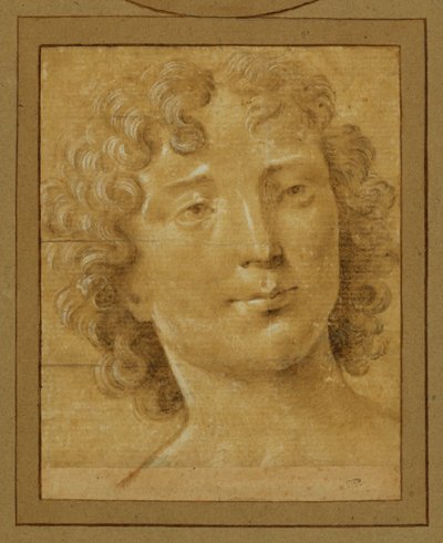 Studio di un uomo con capelli lunghi e ricci ... da Lorenzo di Credi