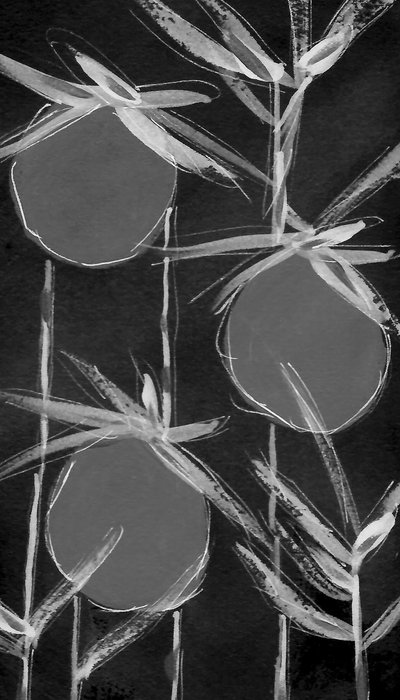 Forme botaniche astratte da Lori Ann Folz
