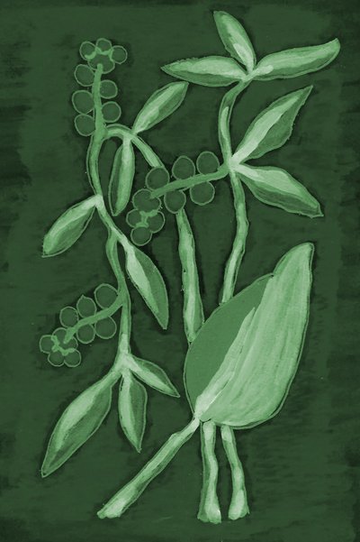 Sfumature botaniche di verde da Lori Ann Folz
