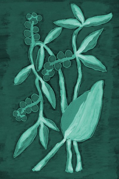 Deep Green Botanicals da Lori Ann Folz
