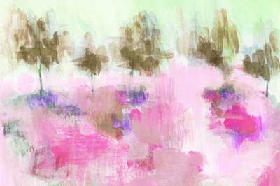 Un campo rosa da sogno da Lori Ann Folz