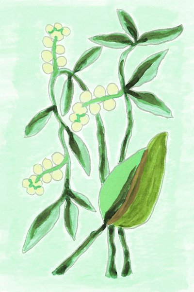 Verde botanico fresco da Lori Ann Folz