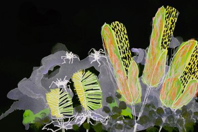 Giardino notturno luminoso da Lori Ann Folz