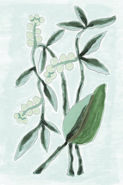 Acquerello botanico verde da Lori Ann Folz
