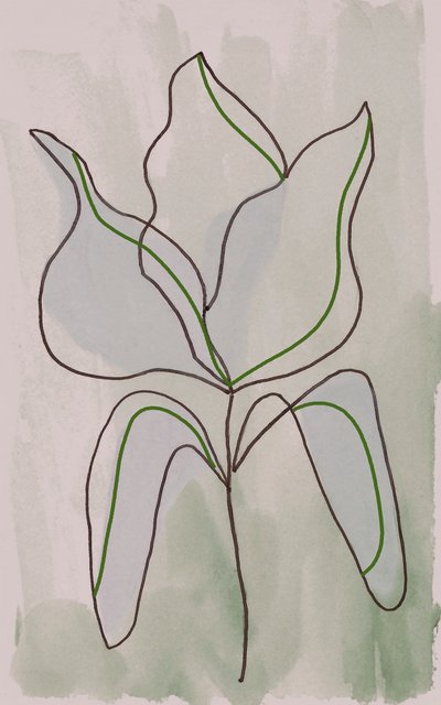 Disegno botanico minimalista da Lori Ann Folz