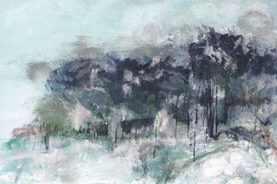 Bosco invernale nebbioso da Lori Ann Folz
