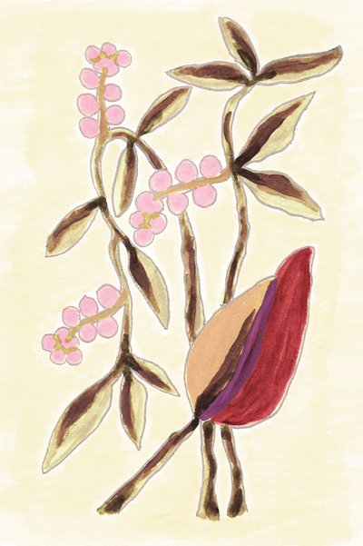 Pink Berry Botanicals da Lori Ann Folz