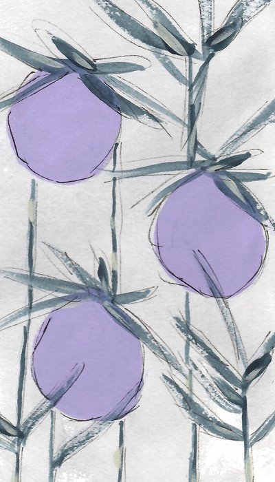 Frutti botanici viola da Lori Ann Folz