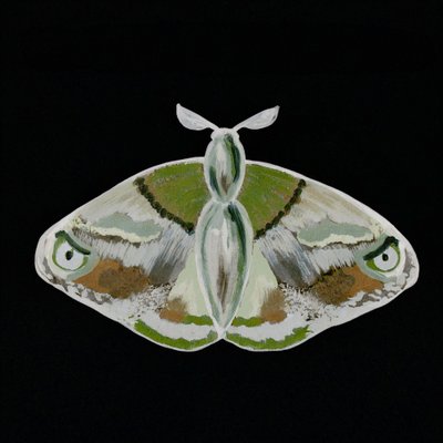 Una falena verde davvero suggestiva da Lori Ann Folz