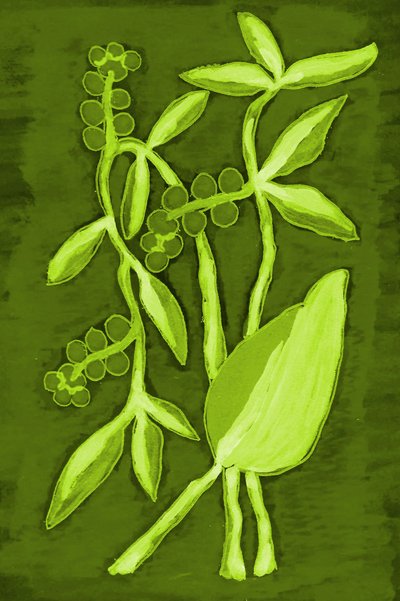 Fogliame di un verde intenso da Lori Ann Folz