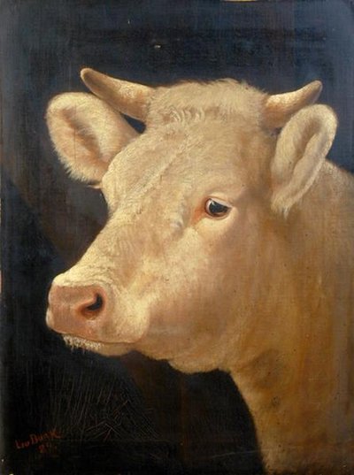 Testa di mucca da Lou Burk