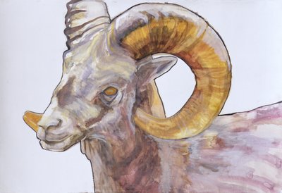 Longhorn americano, 2004 da Lou Gibbs