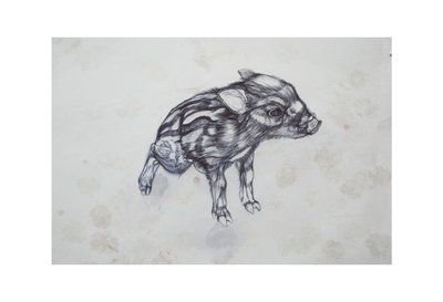 Maialino, 2015 da Lou Gibbs