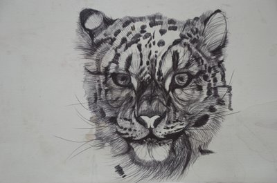 Leopardo delle nevi, 2016 da Lou Gibbs