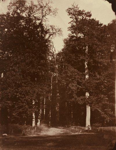  da Louis-Rémy Robert