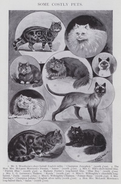 Alcuni animali domestici costosi da Louis (after) Wain