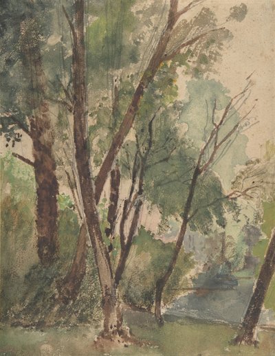 Alberi accanto a uno stagno da Louis Antoine Leon Riesener
