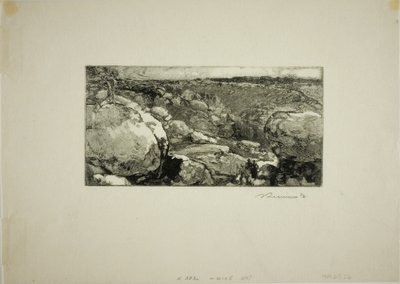 Il Circo di Long-Rocher da Louis Auguste Lepère