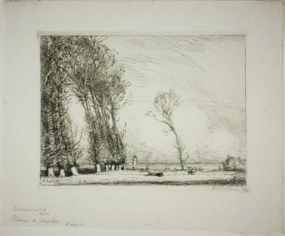 Schermo di pioppi da Louis Auguste Lepère