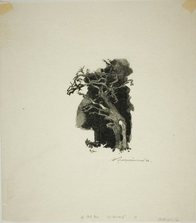 Lo Spitfire da Louis Auguste Lepère