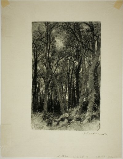 Inverno: Bas-Bréau da Louis Auguste Lepère