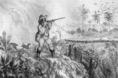 Ne ho uccisi tre... incisione dal disegno di M. de Sainson per il libro di Daniel Defoe "Robinson Crusoe" edizione francese del 1837 da Louis Auguste de Sainson