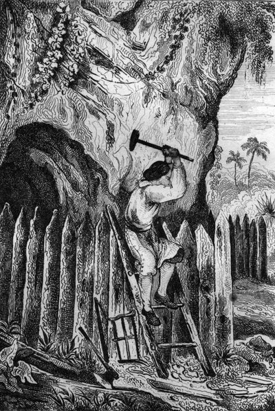 Ho piantato dieci file di palizzate. Incisione dal disegno di M. de Sainson per il libro di Daniel Defoe "Robinson Crusoe" edizione francese del 1837 da Louis Auguste de Sainson