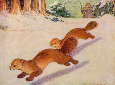 Allo zoo: Martens da Louis Augustus Sargent
