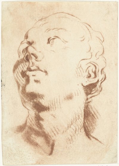 Foglio di studio con una testa, lo sguardo rivolto verso l