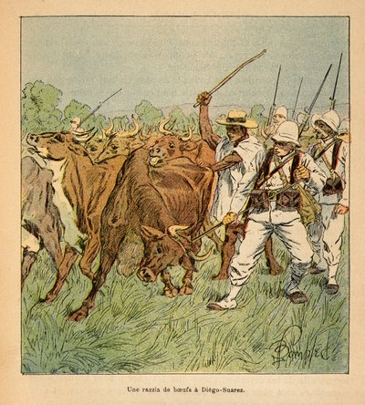 La guerra in Madagascar - Storia aneddotica delle spedizioni francesi del 1885-1895 di Henri Galli dit Galllichet, illustrata da Louis Bombled: A Diego-Suarez, l