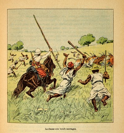 La guerra in Madagascar-Storia aneddotica delle spedizioni francesi del 1885-1895 di Henri Galli detto Galllichet (1854-1922), illustrato da Louis Bombled (1862-1927): La caccia ai buoi selvatici in Madagascar nel 1895, Collezione privata da Louis Charles Bombled