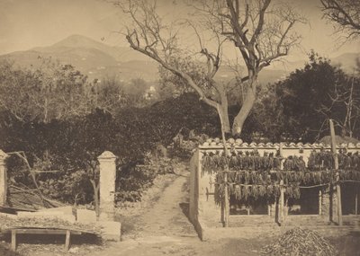 Scena agricola con montagne, anni 1850 da Louis Crette