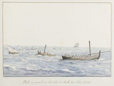 Pescatori di corallo sulla costa della Sicilia presso Terra Nuova da Louis Ducros