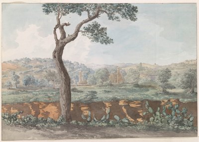 Rovine del tempio di Castore e Polluce all