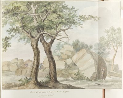 Rovine del tempio di Zeus Olimpio nell