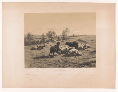 Pecore in un prato da Louis Emmanuel Soulange Teissier