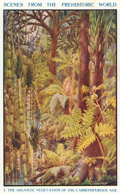 La gigantesca vegetazione del Carbonifero (litografia a colori) da Louis Fairfax Muckley