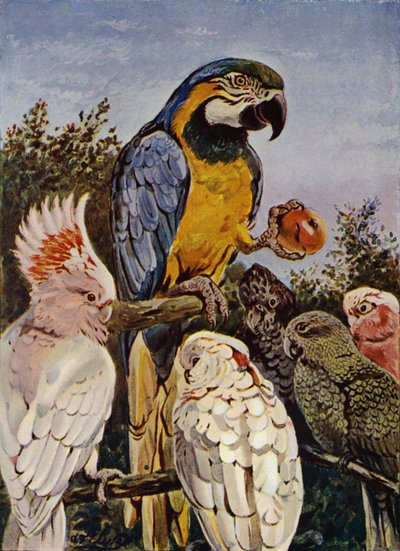 Chi ha morso la mia mela? da Louis Fairfax Muckley