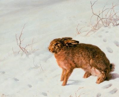 Lepre nella neve, 1875 da Louis Ferdinand von Rayski