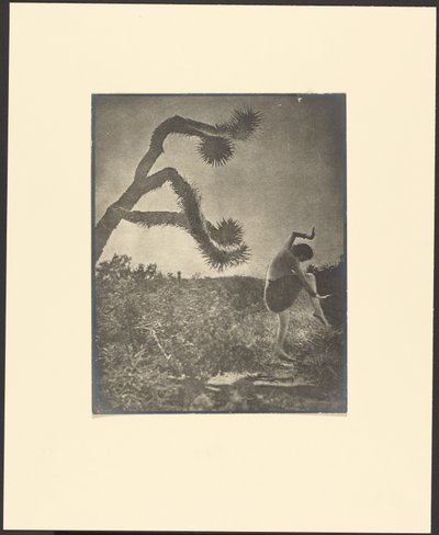 Danza Apache da Louis Fleckenstein