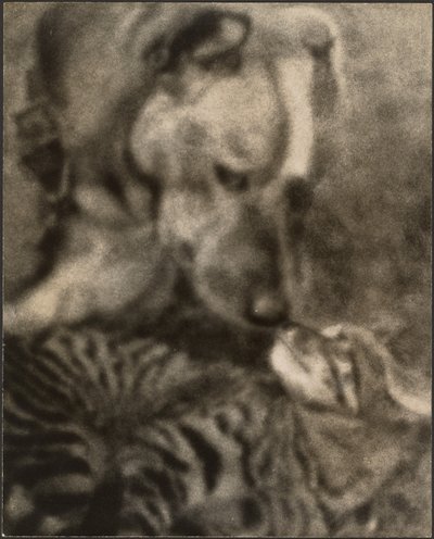  da Louis Fleckenstein