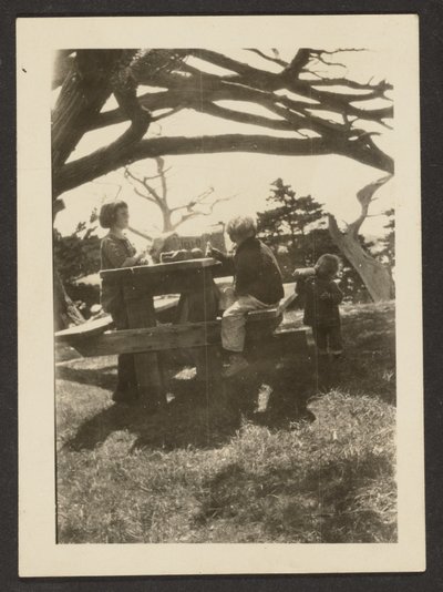 [Bambini a un tavolo da picnic] da Louis Fleckenstein
