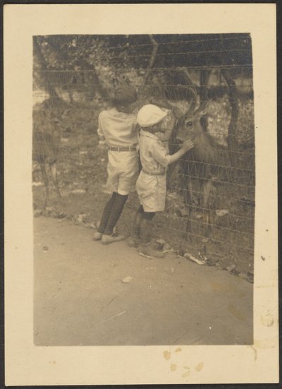 [Bambini vicino al recinto con i cervi] da Louis Fleckenstein