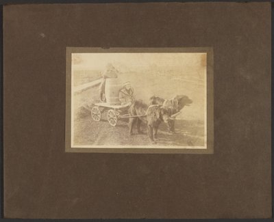 [Bambini su un carro trainato da cani] da Louis Fleckenstein